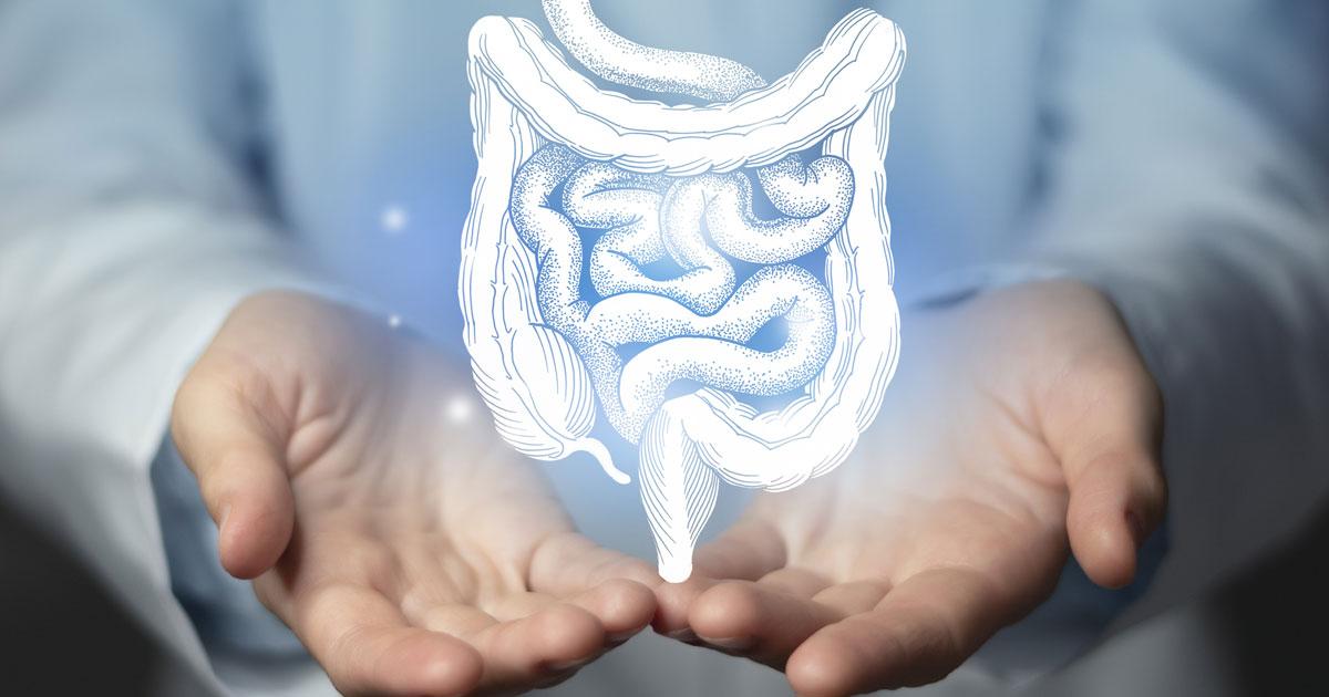 Cannabis and Gut Health