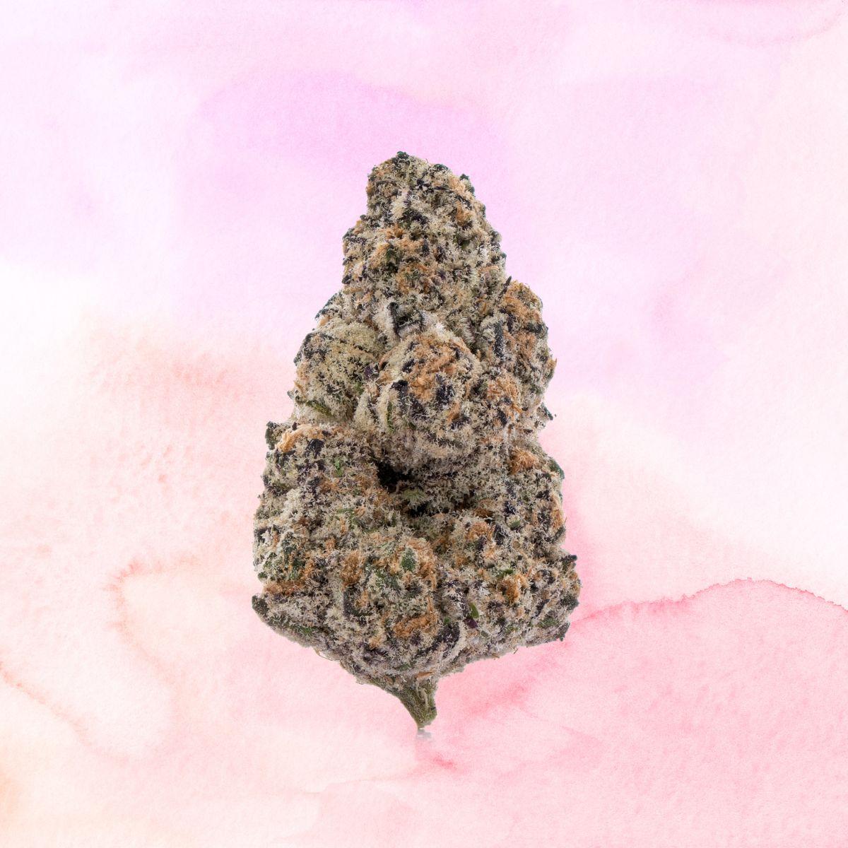 Gift Guide Verano Reserve Flower